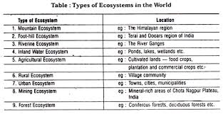 Ecosystem Meaning And Classification With Diagram