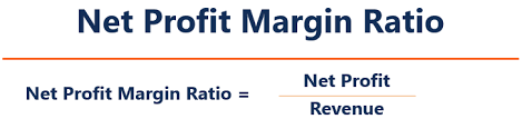 Net Profit Margin Definition Formula