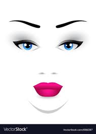 woman face makeup royalty free vector