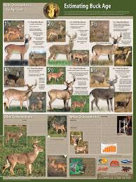 How Accurate Is That Qdma Aging Chart Huntingnet Com Forums