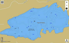 Lake Of The Woods Fishing Map Us_lm_us_mt_fl_28n19w_woods