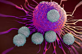 Penn Researchers Identify Cancer Cell Defect Driving Resistance to CAR T  Cell Therapy - Penn Medicine