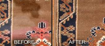 oriental wool or silk rugs involved in