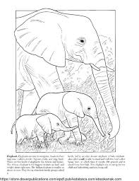 mewarnai gambar keluarga gajah ebook anak