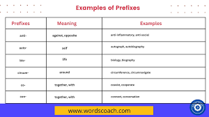 50 exles of prefi with meaning