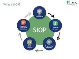 what is siop 7 strategies for ceos