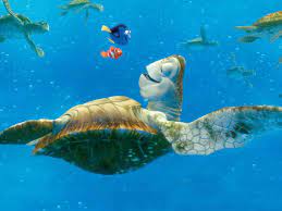 sea turtle pc wallpapers wallpaper cave