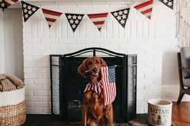 dog calm during fourth of july fireworks