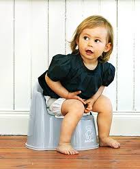 Best Potty Seats And Potty Chairs 2023