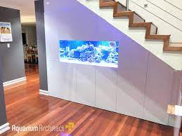 Custom In Wall Saltwater Aquarium