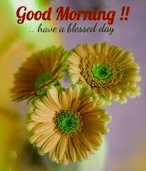 Fresh flowers of morning for you. á… Top 55 Good Morning Images With Flowers Hd Pictures
