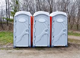 On average, renting a porta potty can cost anywhere from $50 to as much as $275 for one day. Hoffman Estates Porta Potty Rentals Lakeshore Recycling Systems