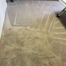 the 1 carpet cleaning in ogden ut 5