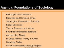 Conceptual framework  social cognitive theory was use to     Course Hero    THINK  How do social action theories    