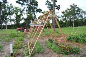 How To Build An A Frame Garden Trellis