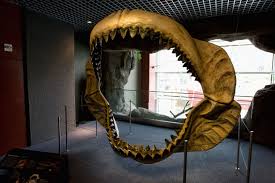 prehistoric mega shark raised its young