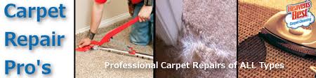 carpet repair carpet cleaning albany