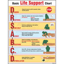 Protector Firesafety India Pvt Ltd Basic Life Support