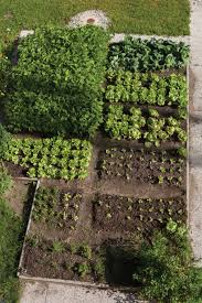Small Garden Crop Rotation Chart Home Dignity