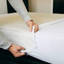 Will A Mattress Cover Prevent Bed Bugs