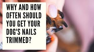 the importance of nail t