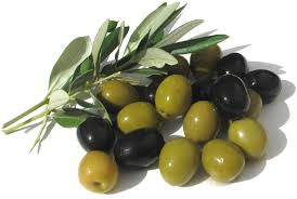 The Olive A Source Of Good Health Part 1 2