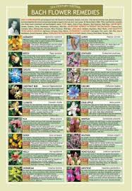 Bach Flower Remedies Two Sided Color Informational Chart