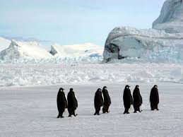 Résultat de recherche d'images pour "belles image de l'Antarctique"