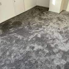 7321 saxony carpet