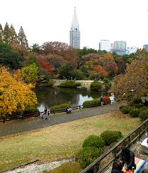 tokyo at shinjuku gyoen national garden