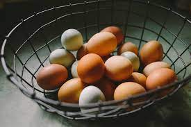 Waarom Ik Geen Eieren Meer Eet - Veganrevolutie.nl