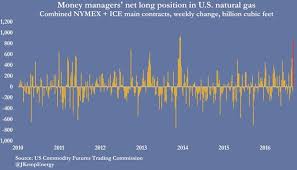 hedge funds turn strongly bullish on us