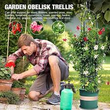 Plant Trellis Support With Erflies