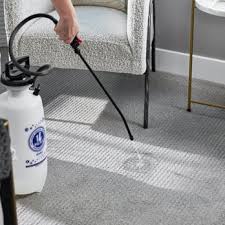 chem dry carpet cleaning by warren