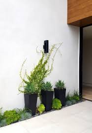 decorate your outdoor walls with greenery