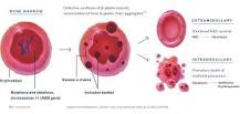 Beta-Thalassemia Prevalence, Pathophysiology and Inheritance