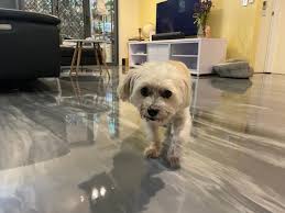 epoxy flooring your ultimate guide