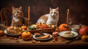 Cat Thanksgiving Picture Background