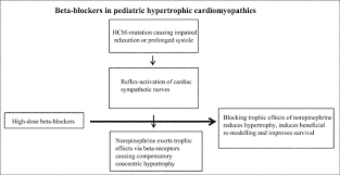 Beta Blockers In Pediatric Hypertrophic Cardiomyopathies