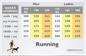calories burned during exercise