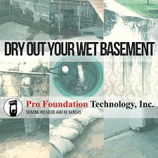 Dry Out Your Wet Basement Pro
