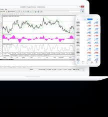 I have been trying to install this metatrader on my mac and the wine keeps crashing. Metatrader 4 The Fast Reliable Platform For Online Trading Xtb