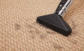 properly vacuuming your office carpet