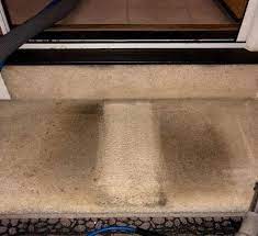 carpet cleaning in redmond wa chem