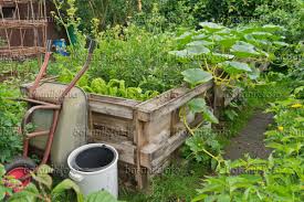 image raised bed made of wooden pallets