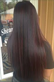 Hairstyles Burgundy Hair Color Chart Exciting Dark Brown