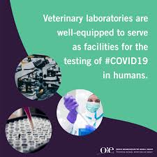 Veterinary professionals provide a critical role in emergency companion animal sheltering in providing care for animals, as well as the crucial task of supporting infection control, biosafety measures, and zoonotic disease prevention at the facility. Covid 19 Oie World Organisation For Animal Health