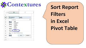 sort pivot table report filters in