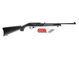 ruger 10 22 kit co2 air
