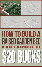 build a raised garden bed for